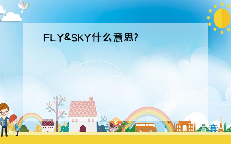 FLY&SKY什么意思?