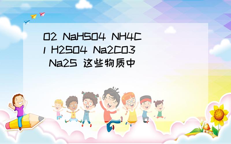 O2 NaHSO4 NH4Cl H2SO4 Na2CO3 Na2S 这些物质中