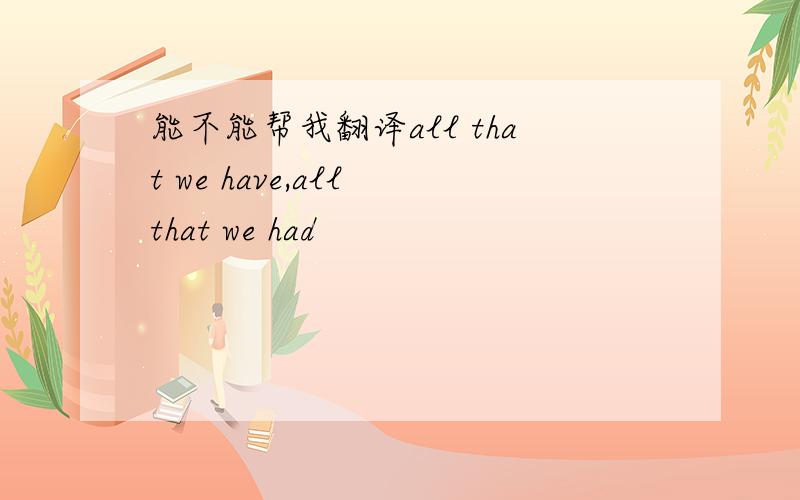 能不能帮我翻译all that we have,all that we had