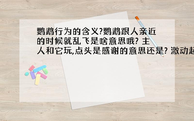 鹦鹉行为的含义?鹦鹉跟人亲近的时候就乱飞是啥意思哦? 主人和它玩,点头是感谢的意思还是? 激动起来,头上的毛就立起来了,