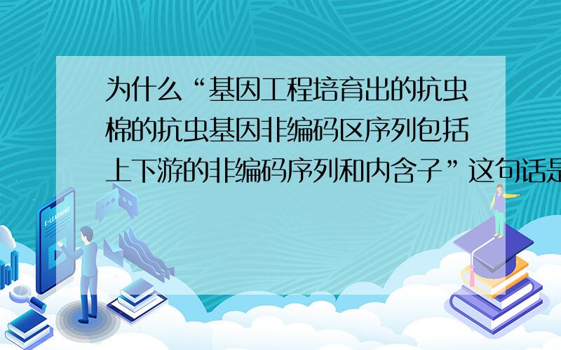 为什么“基因工程培育出的抗虫棉的抗虫基因非编码区序列包括上下游的非编码序列和内含子”这句话是错的?