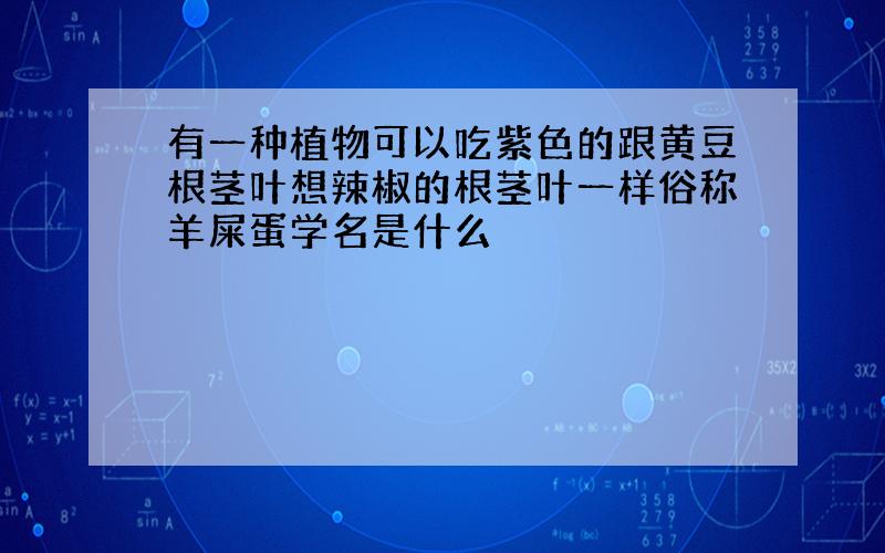 有一种植物可以吃紫色的跟黄豆根茎叶想辣椒的根茎叶一样俗称羊屎蛋学名是什么