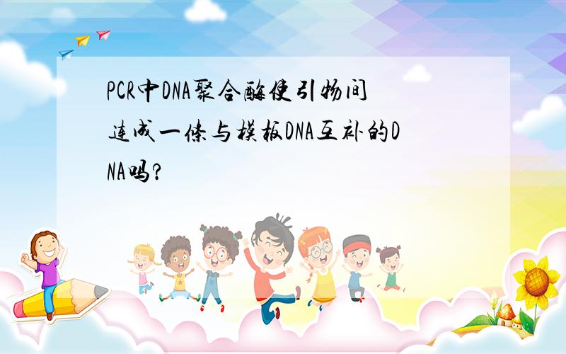 PCR中DNA聚合酶使引物间连成一条与模板DNA互补的DNA吗?