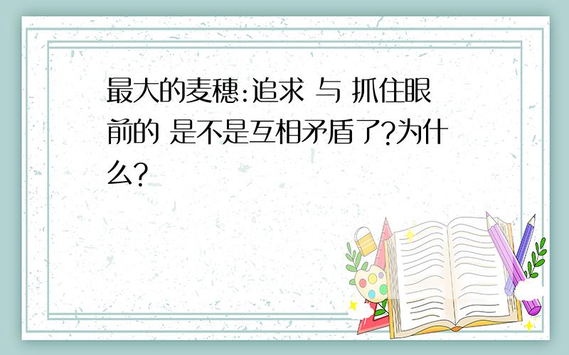 最大的麦穗:追求 与 抓住眼前的 是不是互相矛盾了?为什么?