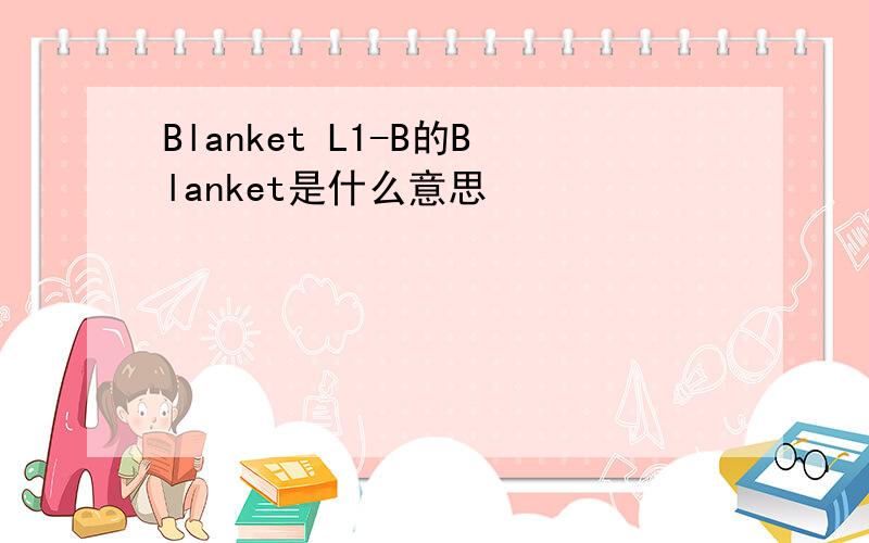 Blanket L1-B的Blanket是什么意思