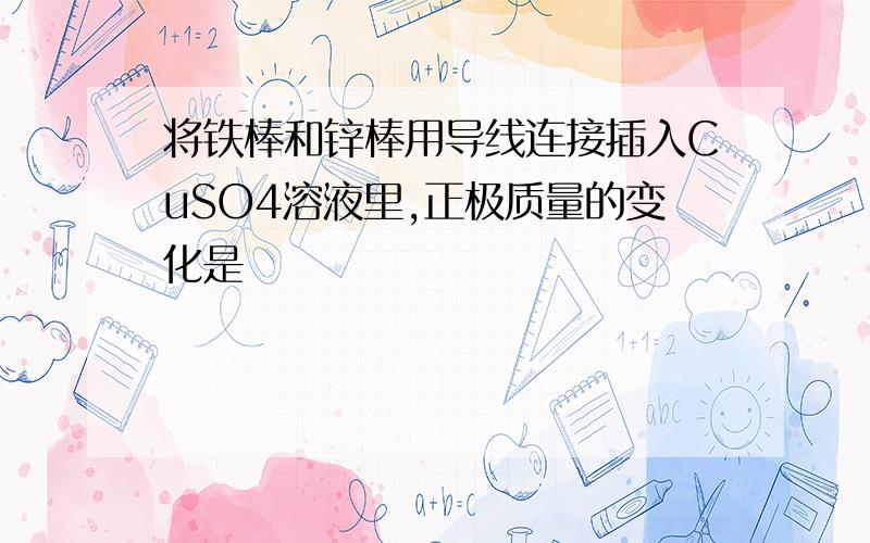 将铁棒和锌棒用导线连接插入CuSO4溶液里,正极质量的变化是