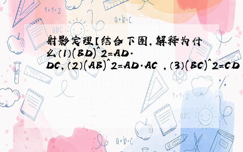 射影定理【结合下图,解释为什么（1）(BD)^2=AD·DC,（2）(AB)^2=AD·AC ,（3）(BC)^2=CD