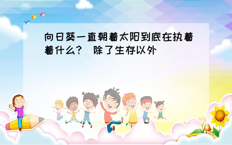 向日葵一直朝着太阳到底在执着着什么?（除了生存以外）