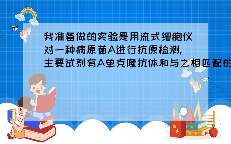 我准备做的实验是用流式细胞仪对一种病原菌A进行抗原检测,主要试剂有A单克隆抗体和与之相匹配的二抗和酶