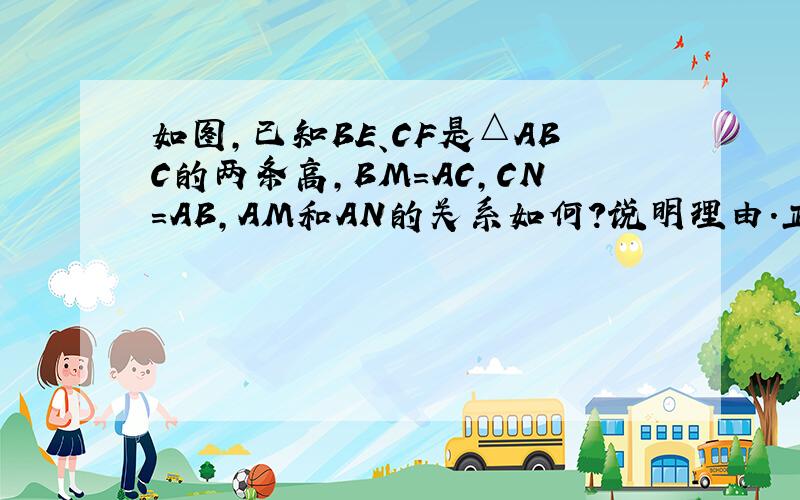 如图,已知BE、CF是△ABC的两条高,BM=AC,CN=AB,AM和AN的关系如何?说明理由.正确题目如下：如图，正方