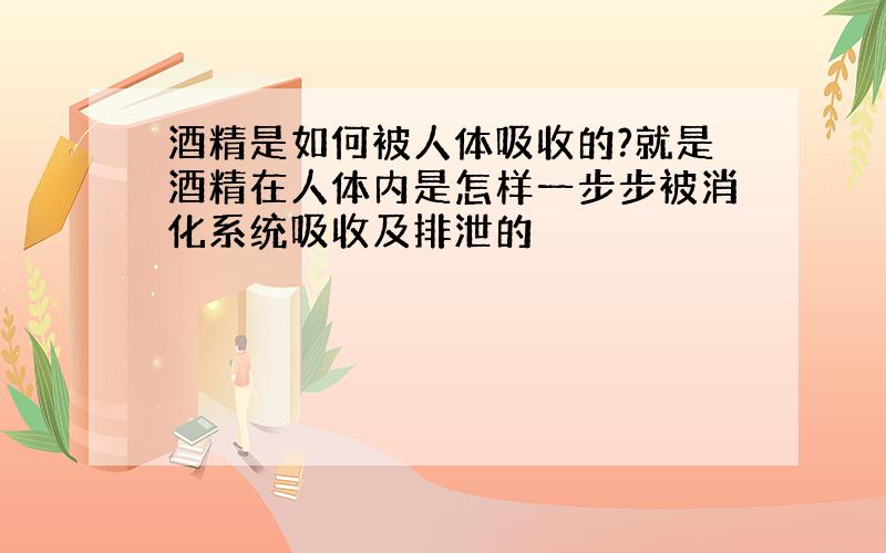 酒精是如何被人体吸收的?就是酒精在人体内是怎样一步步被消化系统吸收及排泄的