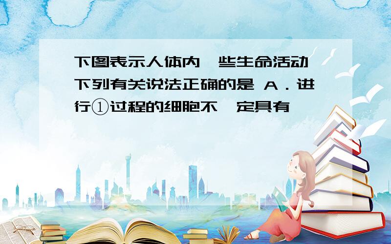 下图表示人体内一些生命活动,下列有关说法正确的是 A．进行①过程的细胞不一定具有