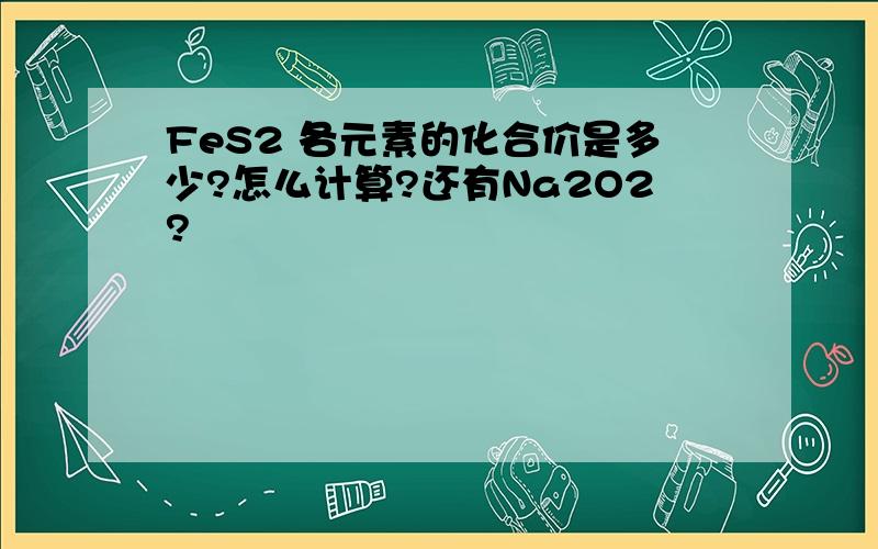 FeS2 各元素的化合价是多少?怎么计算?还有Na2O2?