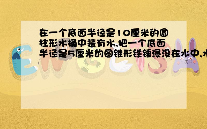 在一个底面半径是10厘米的圆柱形水桶中装有水,把一个底面半径是5厘米的圆锥形铁锤浸没在水中,水面上什1