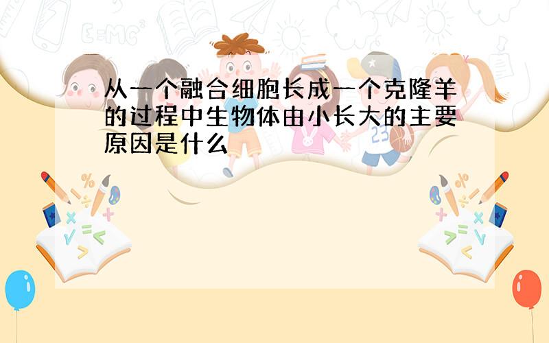 从一个融合细胞长成一个克隆羊的过程中生物体由小长大的主要原因是什么