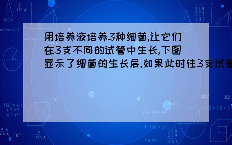 用培养液培养3种细菌,让它们在3支不同的试管中生长,下图显示了细菌的生长层.如果此时往3支试管中通入氧气,则细菌的繁殖速