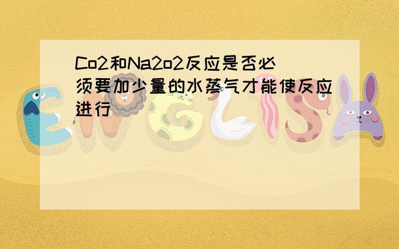 Co2和Na2o2反应是否必须要加少量的水蒸气才能使反应进行