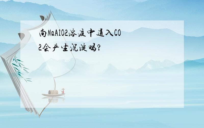 向NaAlO2溶液中通入CO2会产生沉淀吗?