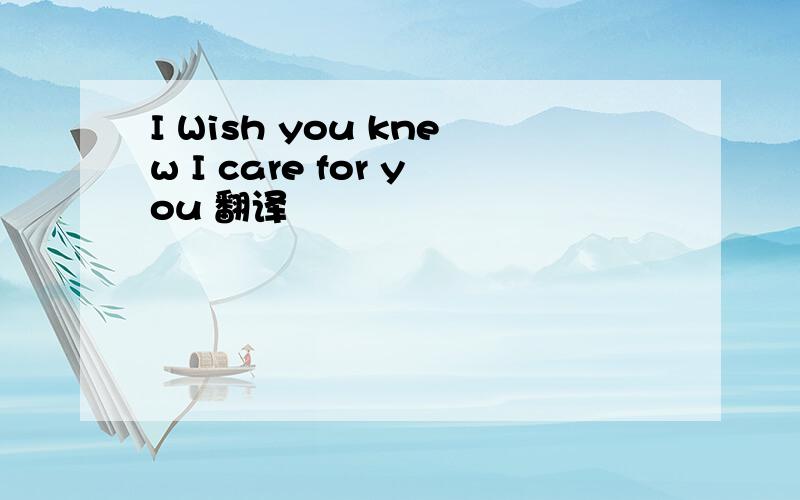 I Wish you knew I care for you 翻译