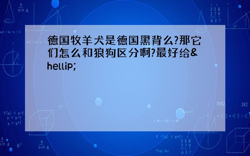 德国牧羊犬是德国黑背么?那它们怎么和狼狗区分啊?最好给…