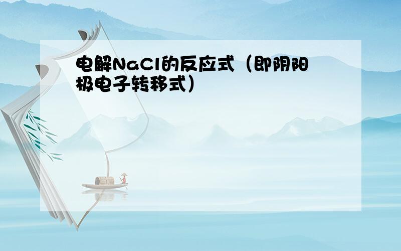 电解NaCl的反应式（即阴阳极电子转移式）