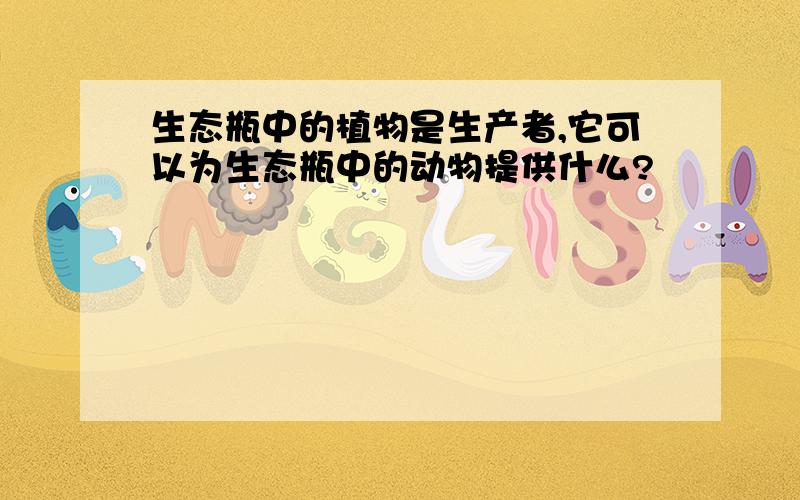 生态瓶中的植物是生产者,它可以为生态瓶中的动物提供什么?