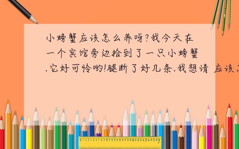 小螃蟹应该怎么养呀?我今天在一个宾馆旁边拾到了一只小螃蟹.它好可怜哟!腿断了好几条.我想请 应该怎么养它,才能让它好好的