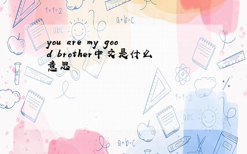 you are my good brother中文是什么意思