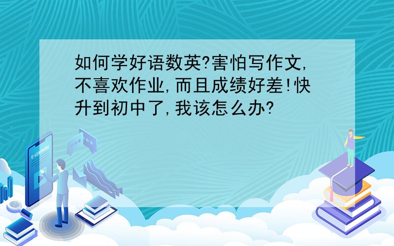 如何学好语数英?害怕写作文,不喜欢作业,而且成绩好差!快升到初中了,我该怎么办?