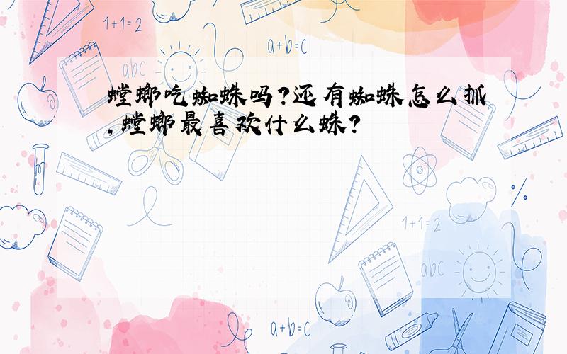 螳螂吃蜘蛛吗?还有蜘蛛怎么抓,螳螂最喜欢什么蛛?