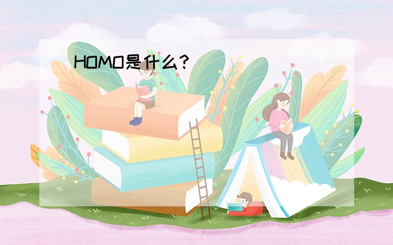 HOMO是什么?