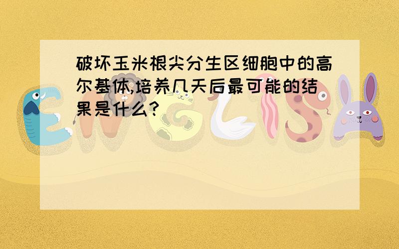 破坏玉米根尖分生区细胞中的高尔基体,培养几天后最可能的结果是什么?