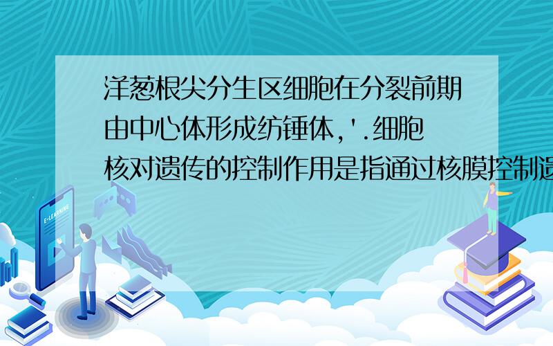 洋葱根尖分生区细胞在分裂前期由中心体形成纺锤体,'.细胞核对遗传的控制作用是指通过核膜控制遗传信息在质,核间的交流.这两