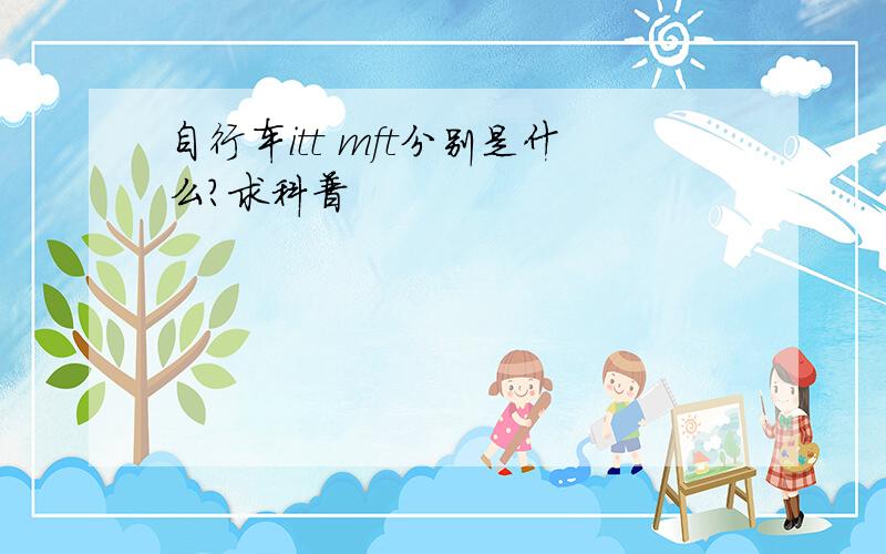 自行车itt mft分别是什么?求科普