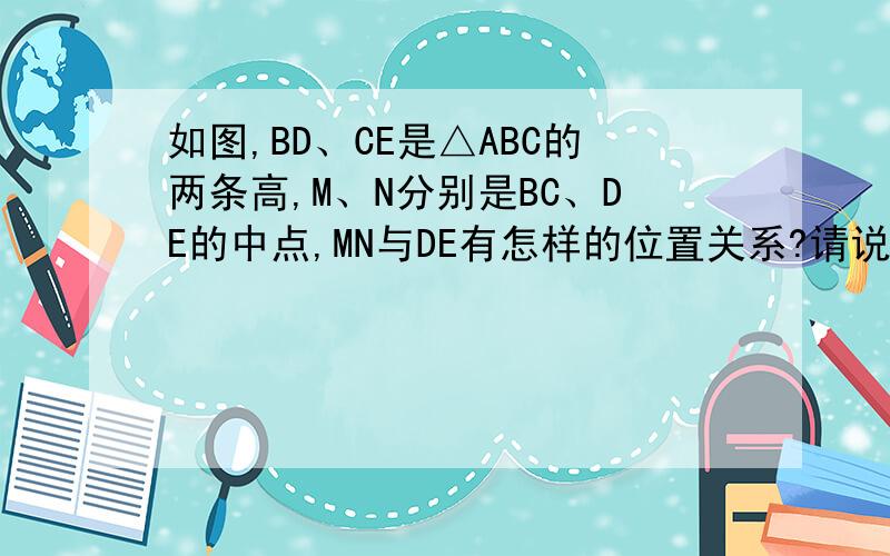 如图,BD、CE是△ABC的两条高,M、N分别是BC、DE的中点,MN与DE有怎样的位置关系?请说明你的理由