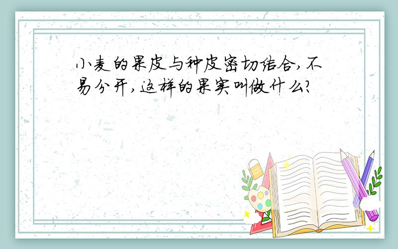 小麦的果皮与种皮密切结合,不易分开,这样的果实叫做什么?