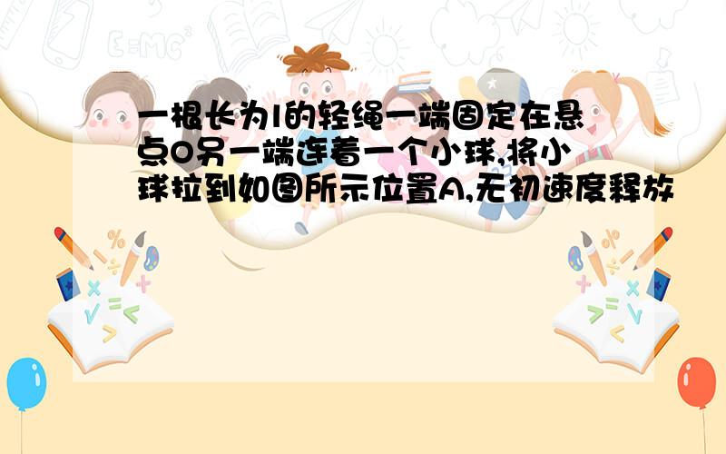 一根长为l的轻绳一端固定在悬点O另一端连着一个小球,将小球拉到如图所示位置A,无初速度释放