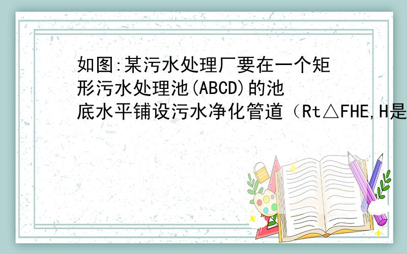 如图:某污水处理厂要在一个矩形污水处理池(ABCD)的池底水平铺设污水净化管道（Rt△FHE,H是直角顶点）来处理污水,