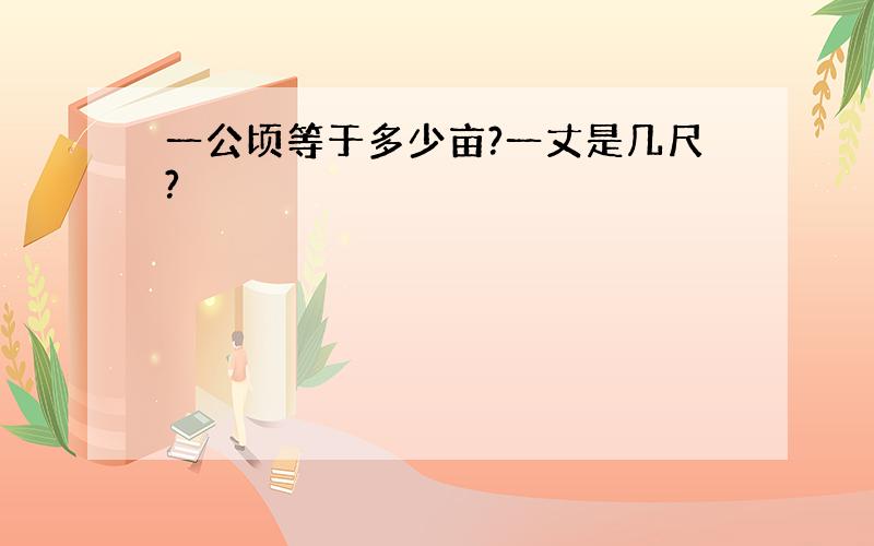 一公顷等于多少亩?一丈是几尺?