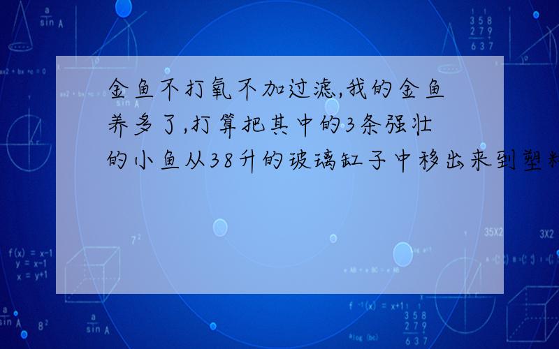 金鱼不打氧不加过滤,我的金鱼养多了,打算把其中的3条强壮的小鱼从38升的玻璃缸子中移出来到塑料的整理箱中养.整理箱是11