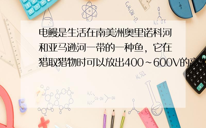 电鳗是生活在南美洲奥里诺科河和亚马逊河一带的一种鱼，它在猎取猎物时可以放出400～600V的高电压．在它的身体中有80%