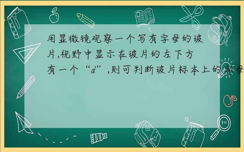 用显微镜观察一个写有字母的玻片,视野中显示在玻片的左下方有一个“d”,则可判断玻片标本上的字母是（）