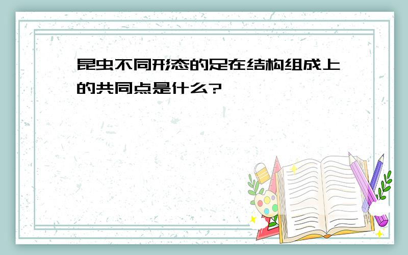 昆虫不同形态的足在结构组成上的共同点是什么?