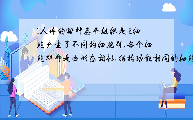 1人体的四种基本组织是 2细胞产生了不同的细胞群,每个细胞群都是由形态相似,结构功能相同的细胞联合在yi