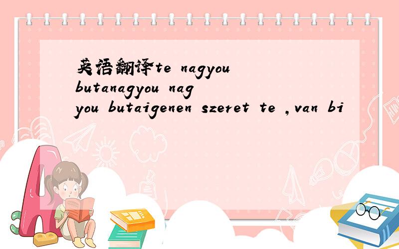 英语翻译te nagyou butanagyou nagyou butaigenen szeret te ,van bi