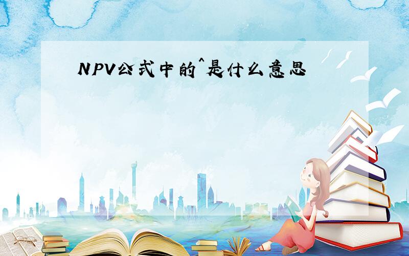 NPV公式中的^是什么意思