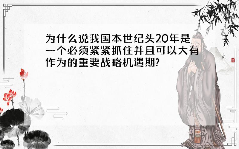 为什么说我国本世纪头20年是一个必须紧紧抓住并且可以大有作为的重要战略机遇期?