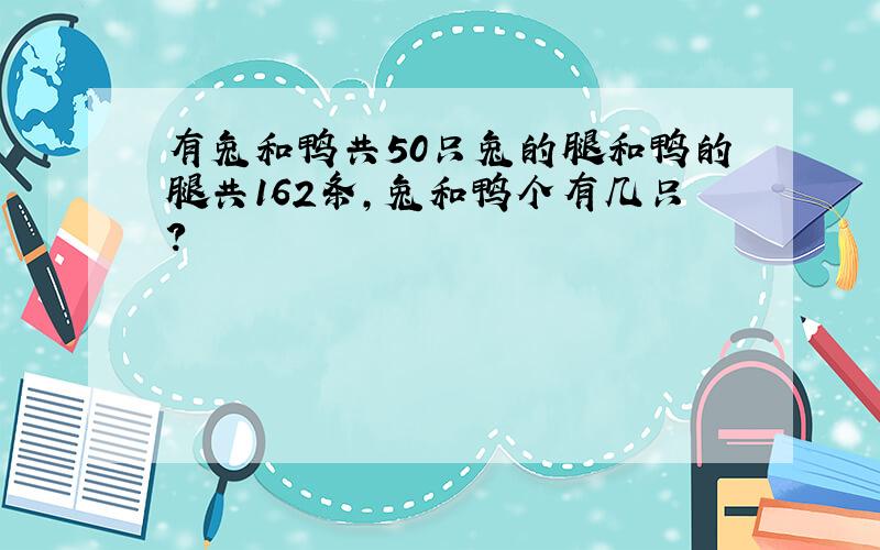 有兔和鸭共50只兔的腿和鸭的腿共162条,兔和鸭个有几只?