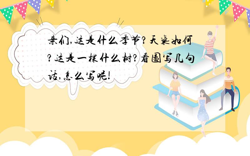 亲们,这是什么季节?天气如何?这是一棵什么树?看图写几句话,怎么写呢!