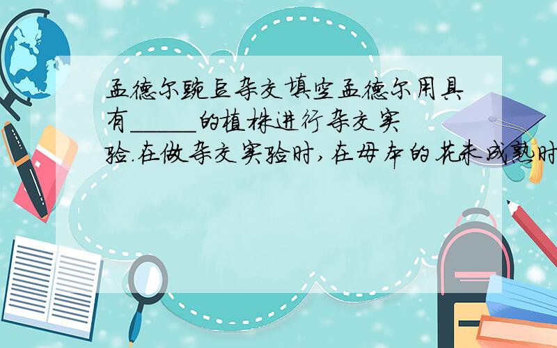 孟德尔豌豆杂交填空孟德尔用具有_____的植株进行杂交实验.在做杂交实验时,在母本的花未成熟时_________,然后套